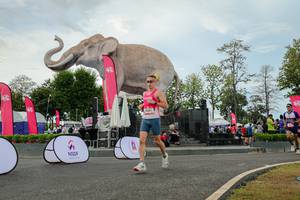 BIB: 
                            <button type="button" onclick="openModal(26528793)" class="btn btn-primary btn-sm float-right btn-popup" data-toggle="modal" data-target=".modal-high-quality">
                        <i class="fas fa-shopping-cart"></i> Add to Cart
                    </button>
                                            <button type="button" onclick="isThisMe(26528793, true)" class="btn btn-success btn-sm float-right btn-popup btn-isme hidden" data-toggle="tooltip" data-placement="bottom" title="นี่คือรูปของคุณใช่ไหม คลิกที่นี่เพื่อเอาเข้าอัลบั้ม">
                        <i class="fas fa-plus"></i> Add to album
                    </button>
                    <button type="button" onclick="isThisMe(26528793, false)" class="btn btn-warning btn-sm float-right btn-popup btn-isnotme hidden">
                        <i class="fas fa-ban"></i> Remove from album
                    </button>